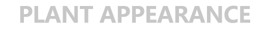 工業(yè)區(qū)廠房.jpg